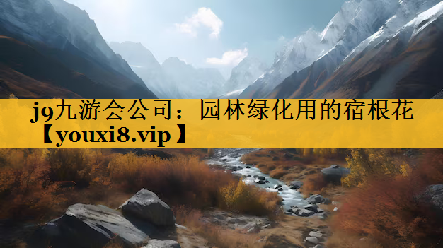 园林绿化用的宿根花