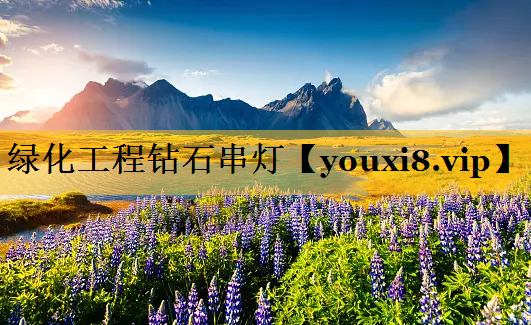 绿化工程钻石串灯