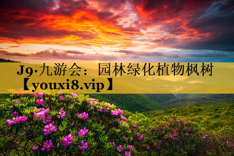 园林绿化植物枫树