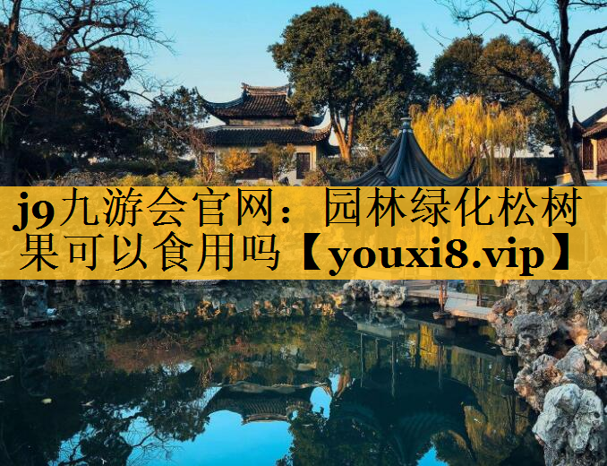 园林绿化松树果可以食用吗